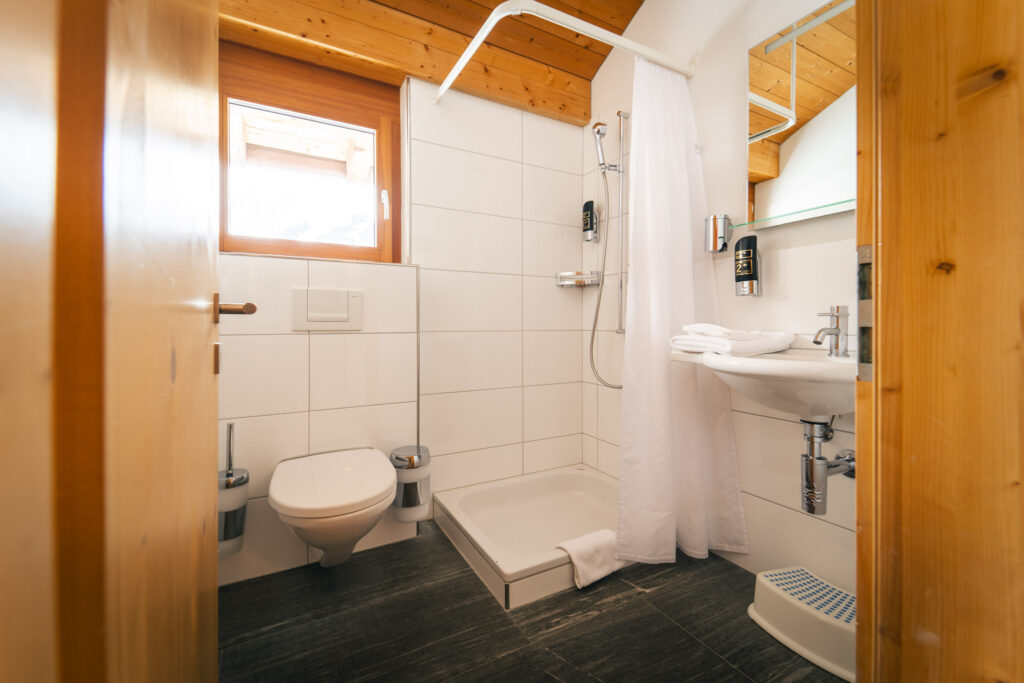 Bathroom with shower and toilet in the holiday apartment at Hotel Alpina Breil