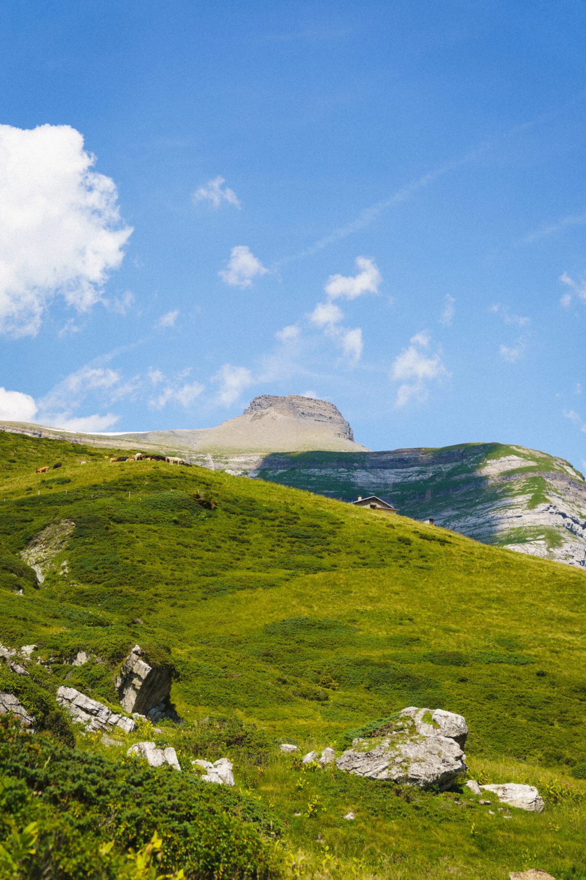 Mountain view of Muot da Rubi in Brigels